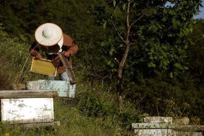 ΟΠΕΚΕΠΕ: Καταβλήθηκαν 28,78 εκατ. ευρώ σε δικαιούχους βιολογικής κτηνοτροφίας και μελισσοκομίας