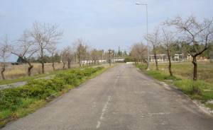 ΤΑΙΠΕΔ: Υποβολή μίας προσφοράς για την αξιοποίηση του ακινήτου «Ιαματική Πηγή &amp; Κάμπινγκ Κονιαβίτη»