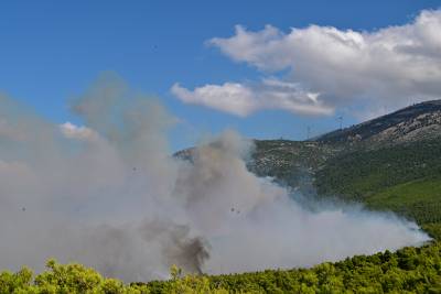 Αναστολή λειτουργίας του αιολικού πάρκου στη Βοιωτία - Προφυλακίστηκαν οι τρεις κατηγορούμενοι