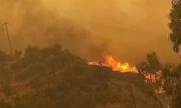 Στη δύσβατη περιοχή της Δεσφίνας το βασικότερο μέτωπο της φωτιάς στην Ανατολική Μάνη