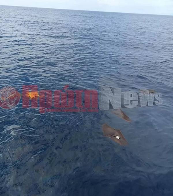 Ανδραβίδα: Νεκρός εντοπίστηκε ο συγκυβρνήτης του μοιραίου Phantom - Αναζητείται ο κυβερνήτης