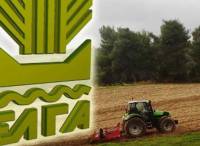 ΕΛΓΑ: Ξεκίνησαν οι καταγραφές ζημιών από τις χαλαζοπτώσεις - Τροπολογία για 100% αποζημιώσεις