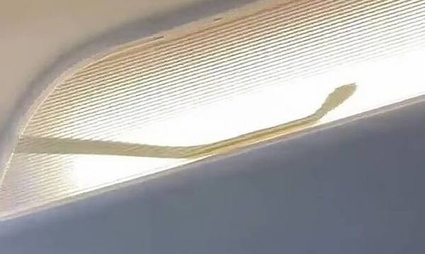 Μαλαισία: Φίδι προκάλεσε την αναγκαστική προσγείωση αεροπλάνου