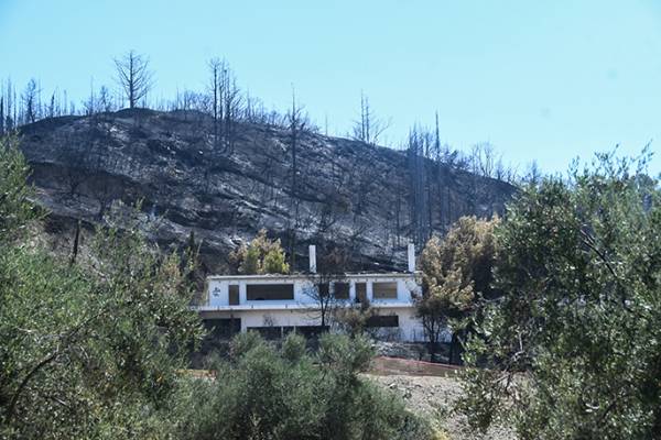 Απαλλάσσονται από τον ΕΝΦΙΑ οι πυρόπληκτοι