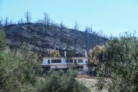 Απαλλάσσονται από τον ΕΝΦΙΑ οι πυρόπληκτοι
