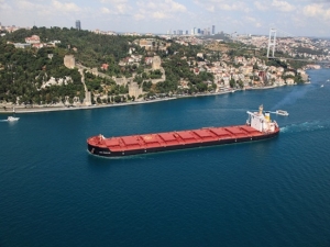 Diana Shipping Inc. Announces Time Charter Contract for m/v Los Angeles with Engelhart CTP