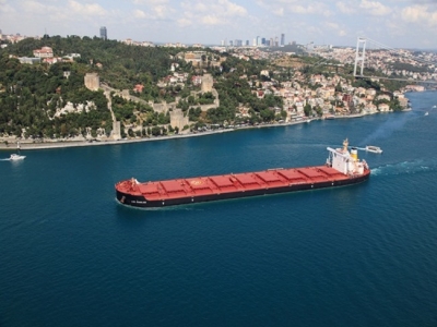 Diana Shipping Inc. Announces Time Charter Contract for m/v Los Angeles with Engelhart CTP