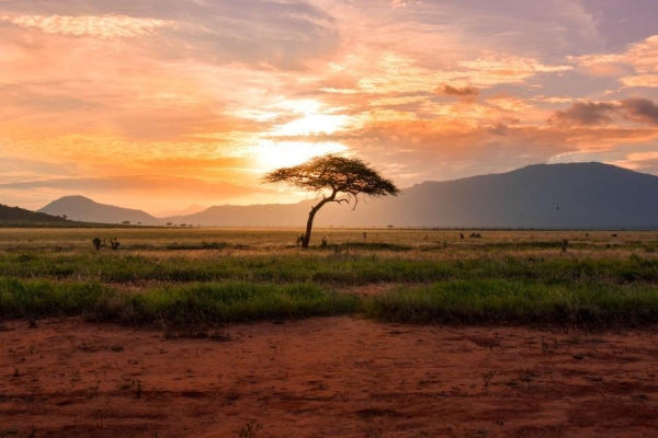 EIB confirms €3 billion of new investment across Africa in 2019