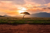 EIB confirms €3 billion of new investment across Africa in 2019