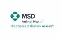 Η MSD Animal Health και η Ευρωπαϊκή Ομοσπονδία Κτηνιάτρων στηρίζουν 34 φοιτητές Κτηνιατρικής μέσω χορήγησης υποτροφιών
