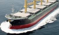 Diana Shipping Inc. Announces Preliminary Results of Self Tender Offer for Shares of Common Stock