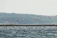 EBRD and Italy promote eco-tourism in Albania