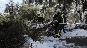 Στα €5,5 εκατ. οι απαιτήσεις αποζημιώσεων από τις ασφαλιστικές για τις ζημιές της «Μήδειας»