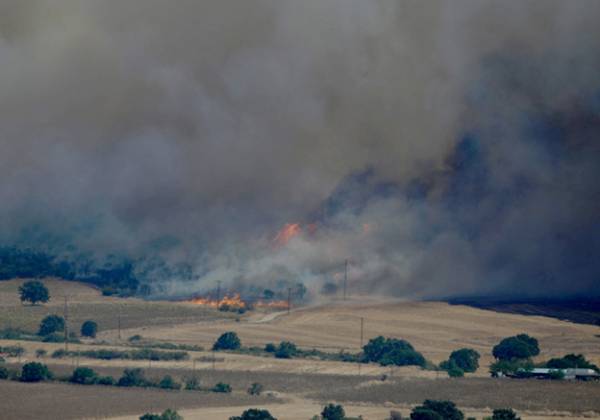 Φωτιά στον Έβρο: Πληροφορίες για 250 εγκλωβισμένους μετανάστες σε νησίδες