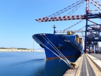Performance Shipping Inc. Reports Financial Results for the Fourth Quarter and Year Ended December 31, 2019