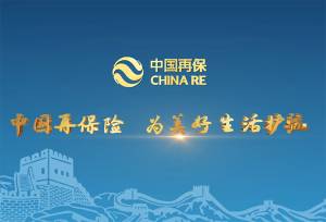 China Reinsurance - Announcement on approval for registration by the CSRC for the application for the issuance of domestic shares to the specific investor