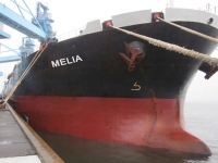 Diana Shipping Inc. Announces Time Charter Contract for m/v Melia with Ausca
