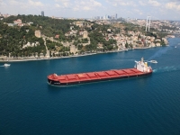 Diana Shipping Inc. Announces Time Charter Contract for m/v Alcmene with Cargill