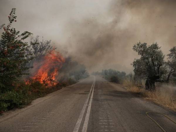 Πυρκαγιές: Επεκτείνεται η πλατφόρμα arogi.gov.gr και για τους πληγέντες