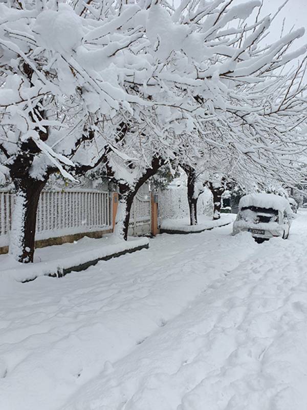 ΔΕΔΔΗΕ: Σε ποιους καταναλωτές θα αφαιρεθεί η Χρέωση Δικτύου Διανομής 4 μηνών