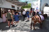 Αύξηση τζίρου 14,8% σε καταλύματα και εστίαση το Μάιο του 2024