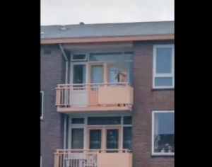 Δύο νεκροί από επίθεση με βαλλίστρα στην Ολλανδία (video)
