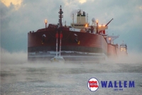 Wallem Group: Chief Executive Frank Coles has resigned