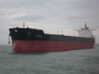 Diana Shipping Inc. Announces Time Charter Contract for m/v Houston With C Transport