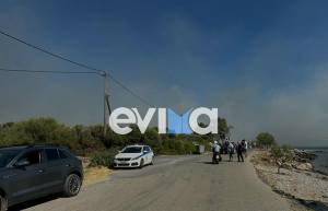 Φωτιά στο Αλιβέρι: 112 για εκκένωση της περιοχής του Ποντικού