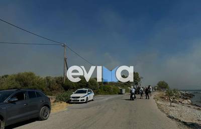 Φωτιά στο Αλιβέρι: 112 για εκκένωση της περιοχής του Ποντικού