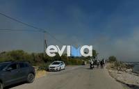 Φωτιά στο Αλιβέρι: 112 για εκκένωση της περιοχής του Ποντικού